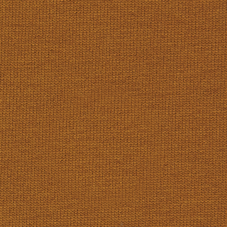 Buy golden-brown-18-0940tcx 20S COTTON RECYCLED POLY JERSEY