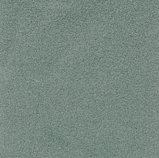 Buy agave-green-18-5806tcx DOUBLE FACE SOFT SUEDE