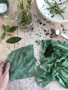 Veggie and Botanic Dye