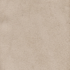 SIMPLY TAUPE 16-0906TCX
