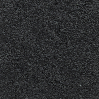 Buy tap-shoe-19-4004tcx WRINKLE SKIN ECO LEATHER