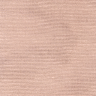 Buy peach-beige-15-1516tcx TENCEL SPAN JERSEY