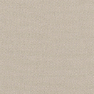 Buy plaza-taupe-16-1105tcx SOFT TOUCH TENCEL COTTON POPLIN