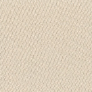 Buy cloud-cream-12-0804tcx ORGANIC COTTON FRENCH TERRY W/BIO WASH
