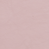 PALE MAUVE 15-1607TCX