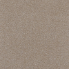 TAUPE GRAY 17-0808TCX
