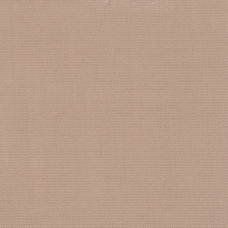 Buy light-taupe-16-1210tcx 60S COTTON TENCEL POPLIN LIGHT WEIGHT WOVEN