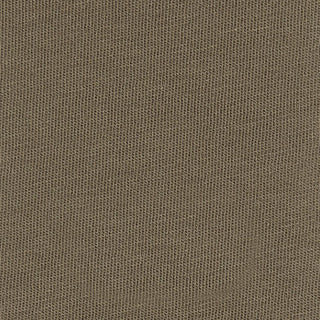 Buy dusky-green-17-0517tcx 30S ORGANIC COTTON JERSEY/BIO WASH