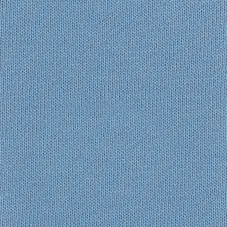Buy blissful-blue-16-4121tcx SUPIMA RECYCLED CVC FRENCH TERRY W/BIO WASH