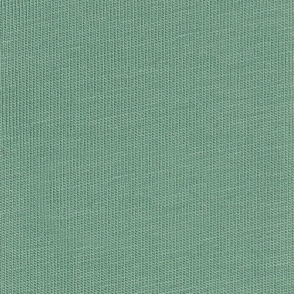 20S ORGANIC COTTON JERSEY/BIO WASH