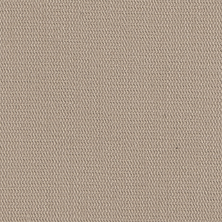 Buy light-taupe-16-1210tcx 30S COTTON TENCEL WOVEN GABARDINE