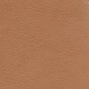 ARGAN OIL 17-1142TCX