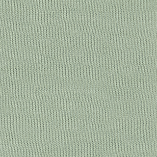 Buy smoke-green-15-6315tcx SUPIMA RECYCLED COTTON FLEECE BRUSHED BACK