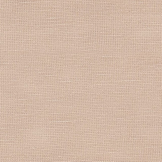 Buy gilded-beige-1-1012tcx LIGHT WEIGHT TENCEL SPAN JERSEY