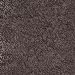 Buy seal-brown-19-1314tcx LEATHER LIKE W/SUEDE BACK