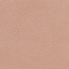 CAFE AU LAIT 17-1227TCX