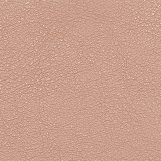 Buy cafe-au-lait-17-1227tcx SOFT ECO LEATHER WITH SATIN BACK