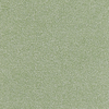OIL GREEN 17-0115TCX