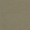 SILVER SAGE 17-0510TCX