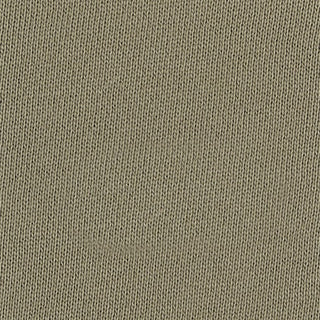 Buy silver-sage-17-0510tcx ORGANIC COTTON FRENCH TERRY W/BIO WASH