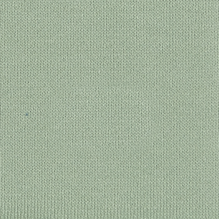Buy smoke-green-15-6315tcx SUPIMA RECYCLED CVC FRENCH TERRY W/BIO WASH
