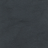 WOODLAND GRAY 19-5002TCX