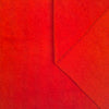 POINCIANA 18-1564TCX