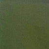 OLIVINE 18-0316TCX