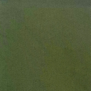 Buy olivine-18-0316tcx RECYCLED POLY COTTON TWILL