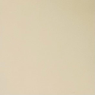 Buy silver-birch-13-4403tcx ECO COATED NYLON WEAVE