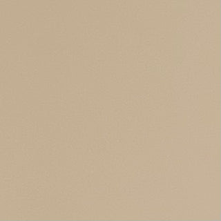 Buy feather-gray-15-1305tcx ECO COATED NYLON WEAVE