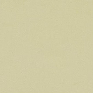 Buy seafoam-green-12-0313tcx ECO COATED NYLON WEAVE