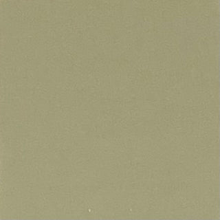 Buy oil-green-17-0115tcx ECO COATED NYLON WEAVE
