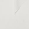 BLANC DE BLANC 11-4800TCX