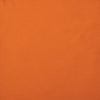 APRICOT ORANGE 17-1353TCX